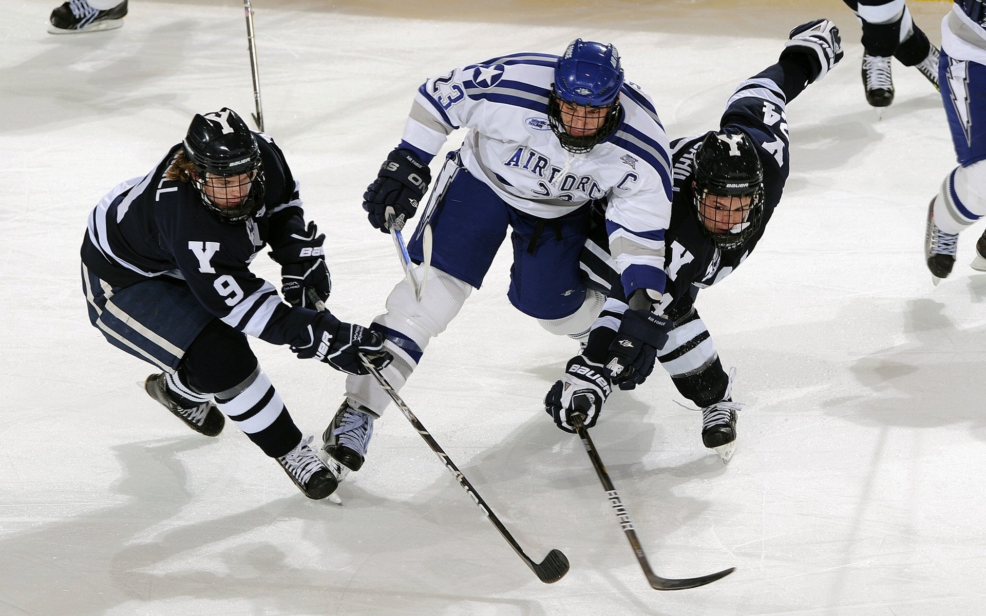 亚冠前瞻:残阵海港难自保申花不留力国安若不胜堪忧